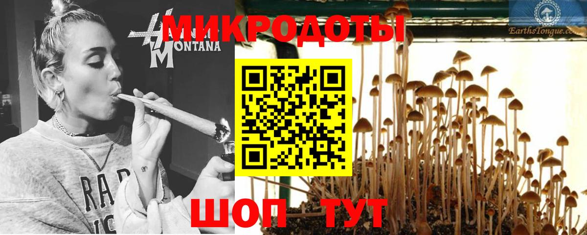 Галлюциногенные грибы прущие грибы  Вход с VPN  Петрозаводск 