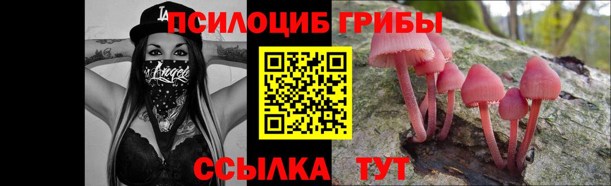 Галлюциногенные грибы MAGIC MUSHROOMS Петрозаводск